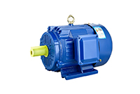 Complete Models 22KW 2P 3 Phase AC Motor Industrial Electric Motor